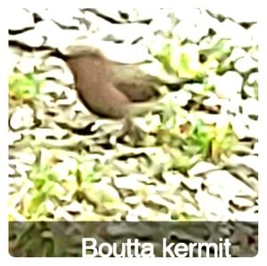 Selling freshly breathed air